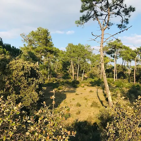 Le 203, Joli Acces Direct Apartman